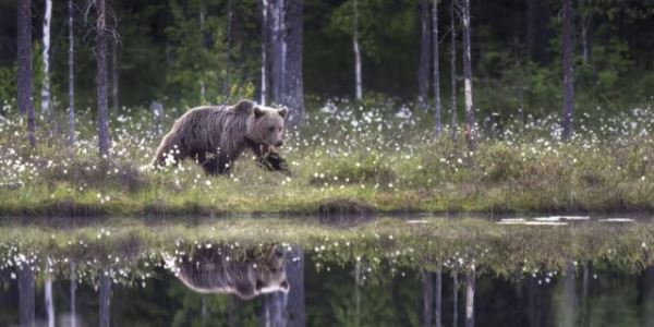 Победители конкурса Epson International Pano Awards 2023 года (18 фото)